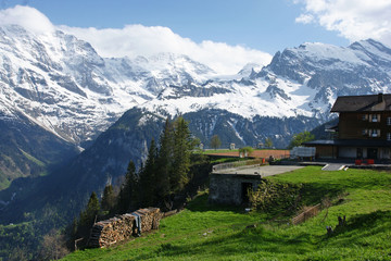 Swiss - 1