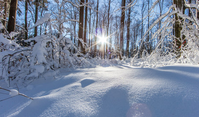 winterlandschaft