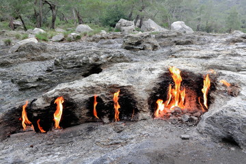Constant fires of Yanartas or Flaming Stone. Mount Chimaera-Çirali-Turkey. 0473