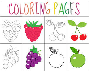 Coloring book, page set. Fruits collection. Sketch and color version. Coloring for kids. Childrens education. Vector illustration
