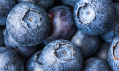 Fresh Blueberries Background