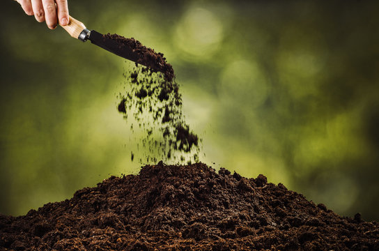 Hand pouring black soil with shovel on green bokeh background. Planting a small plant on a pile of soil or pouring soil during funeral. Gardening backdrop for advertising.