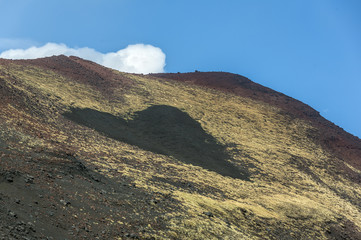 Yellow moss growing on an old volcanic cone at the foot of the volcano Tolbachik - Kamchatka, Russia
