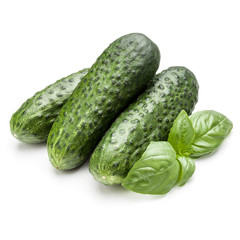 Cucumber vegetable and basil leaves isolated on white background