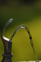 Water Drinking Fountain in Park on Summer Day