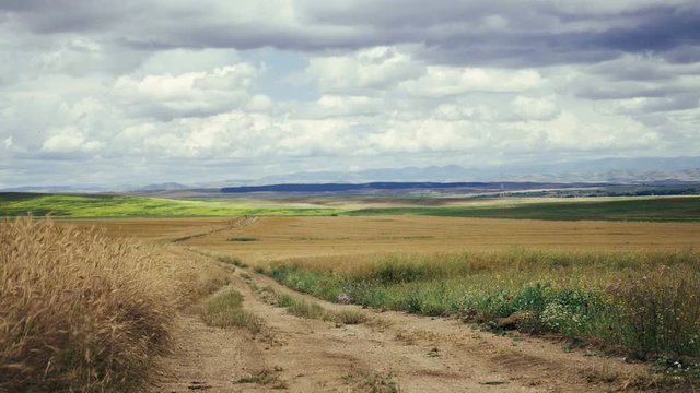 Field, Time Lapse