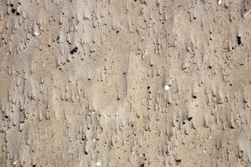 natural shapes in the sand on the beach