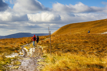 walking trail in Bieszczady mountain in Poland © dziewul