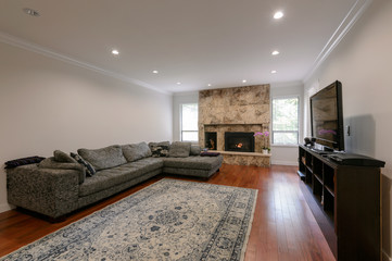 Modern luxury living room with fireplace. Interior design.