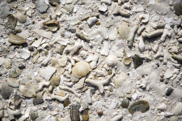 Boca Chita, Biscayne National Park Florida