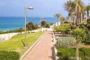  park with palm trees against the backdrop of blue sea