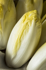 Raw Organic Belgian Endive