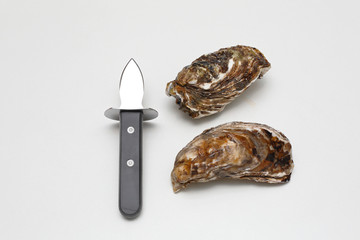 Shucking Knife and Oysters
