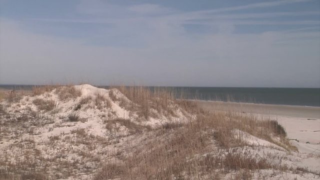 Barrier Dunes on Georgia Coast