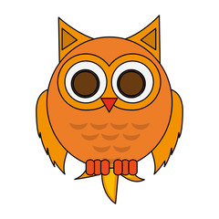 owl cartoon icon over white background. colorful design. vector illustration