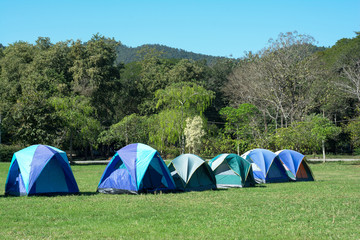 Tourist tent in forest camp among meadow.Tent camping among the