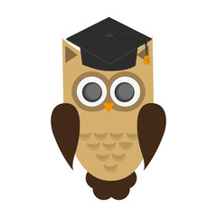 owl with graduation cap over white background. colorful design. vector illustration