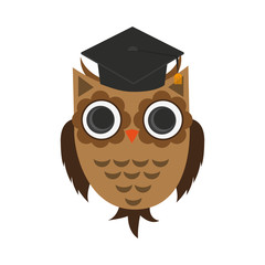 owl with graduation cap over white background. colorful design. vector illustration