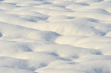 雪国魚沼の雪原模様 