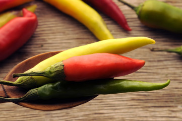 Capsicum annuum فليفلة حولية Közönséges paprika Peperoncino piccante Ardei Papryka...