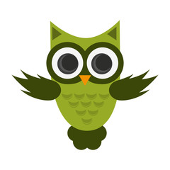 owl cartoon icon over white background. colorful design. vector illustration