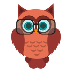 owl with glasses over white background. colorful design. vector illustration