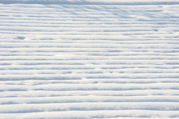 雪国魚沼の雪原模様 
