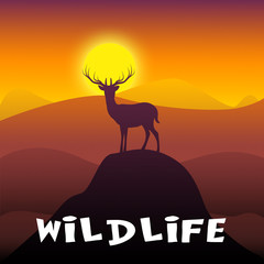 Fototapeta na wymiar Wildlife Deer Shows Wild Animals 3d Illustration