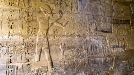 Egyptian ancient temple engravings on the wall