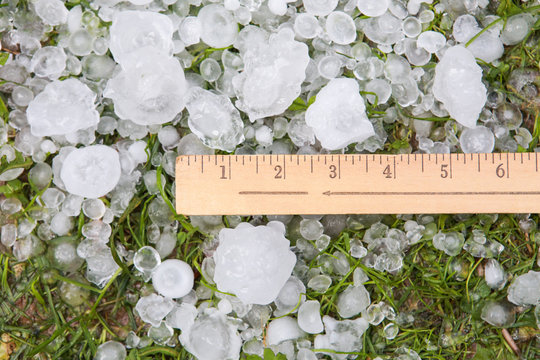 Fototapeta Hail in the grass and yardstick after a storm