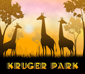 Kruger Park Showing Wildlife Reserve 3d Illustration