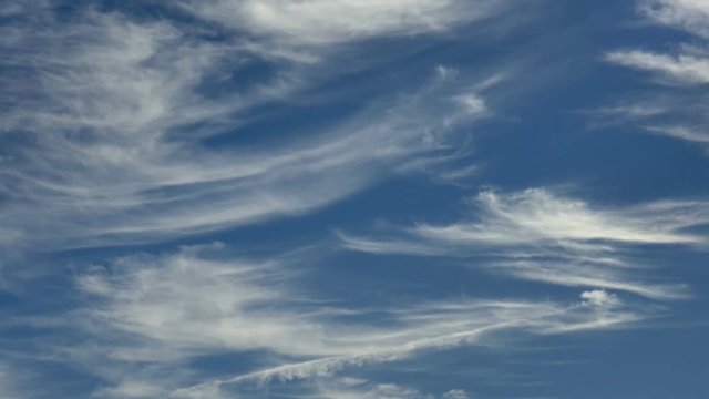 Feathery Cirrus Clouds Drift Overhead