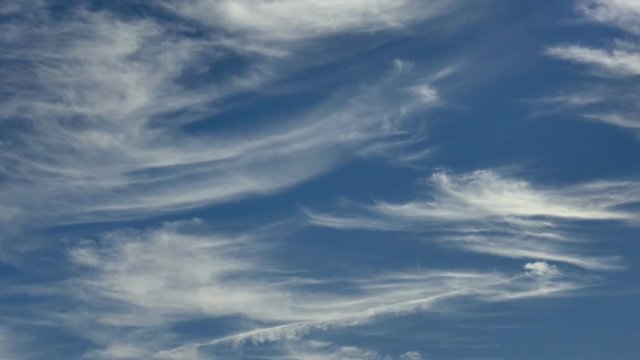 Feathery Cirrus Clouds Drift Overhead