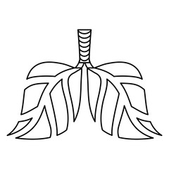 Contour lungs branches with leaves image, vector illustration