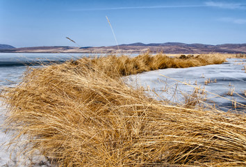 на озере © nikolaj777