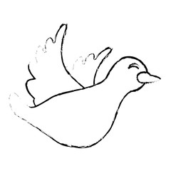 dove cartoon icon image vector illustration design 