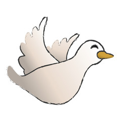 dove cartoon icon image vector illustration design 