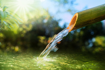 Forest is water concept