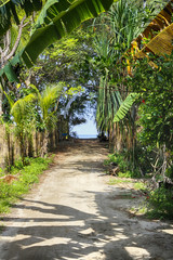 Trail on beach road to the ocean, the Island of Gili air.