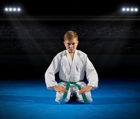 Boy martial arts  fighter