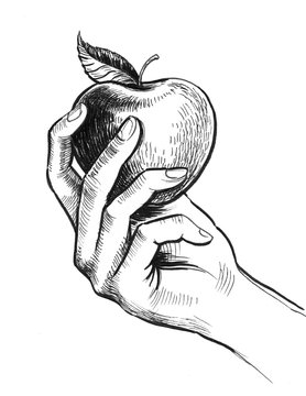 Hand Holding An Apple