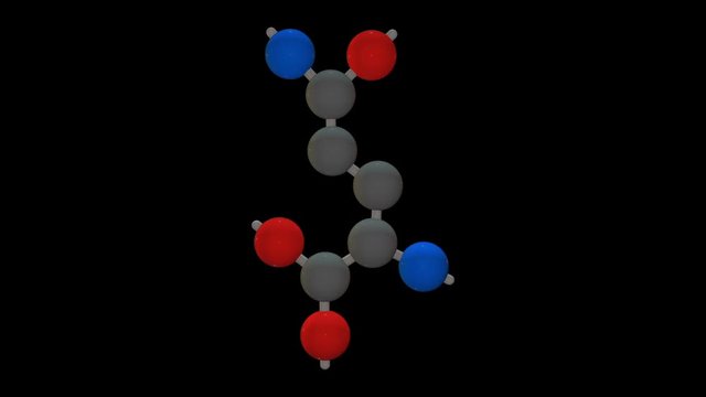 L-glutamine - Amino Acids 3D Animation - Loop