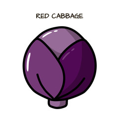 Icon red cabbage on a white background. Illustration with the vegetables for design food products, advertising products, environmental articles, dietary recommendations.
