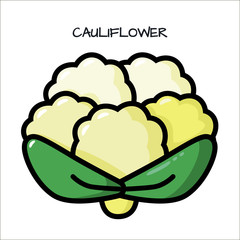 Icon cauliflower on a white background. Illustration with the vegetables for design food products, advertising products, environmental articles, dietary recommendations.