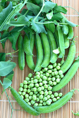 Fresh organic green peas