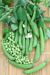 Fresh organic green peas