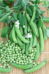 Fresh organic green peas