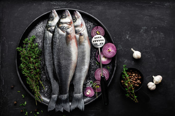 sea bass fish