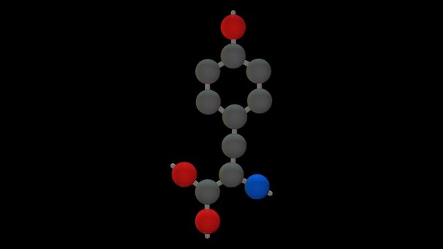 L-tyrosine - Amino Acids 3D Animation - Loop