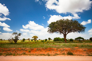 Fototapeta na wymiar Panorama of the Tsavo East National Park in Africa